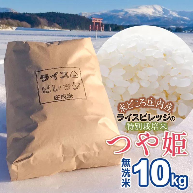 【令和7年産】米どころ庄内産 ライスビレッジの特別栽培米 つや姫 無洗米 10kg K-790