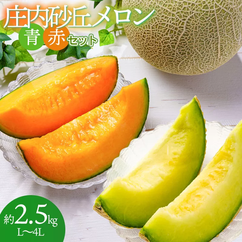令和7年産先行予約　山形県鶴岡市産　庄内砂丘メロン　青赤セット L～4L 約2.5kg