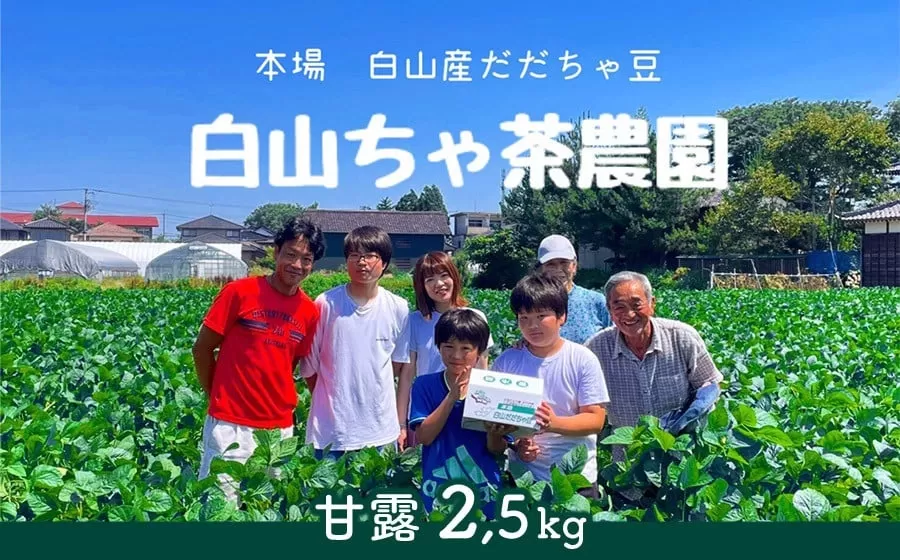 【令和7年産先行予約】山形セレクション認定　だだちゃ豆 「甘露」 2.5kg（500g×5袋）　白山ちゃ茶農園　K-761