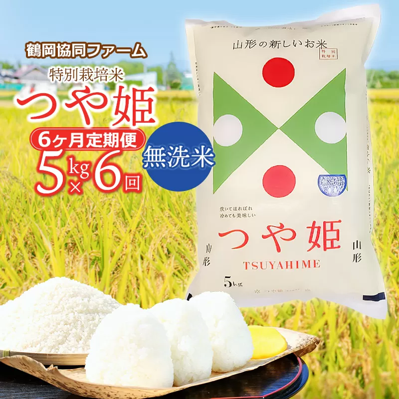 【令和6年産先行予約】【定期便】特別栽培米つや姫 無洗米 5kg (5kg×1袋)×6ヶ月　山形県鶴岡産　鶴岡協同ファーム