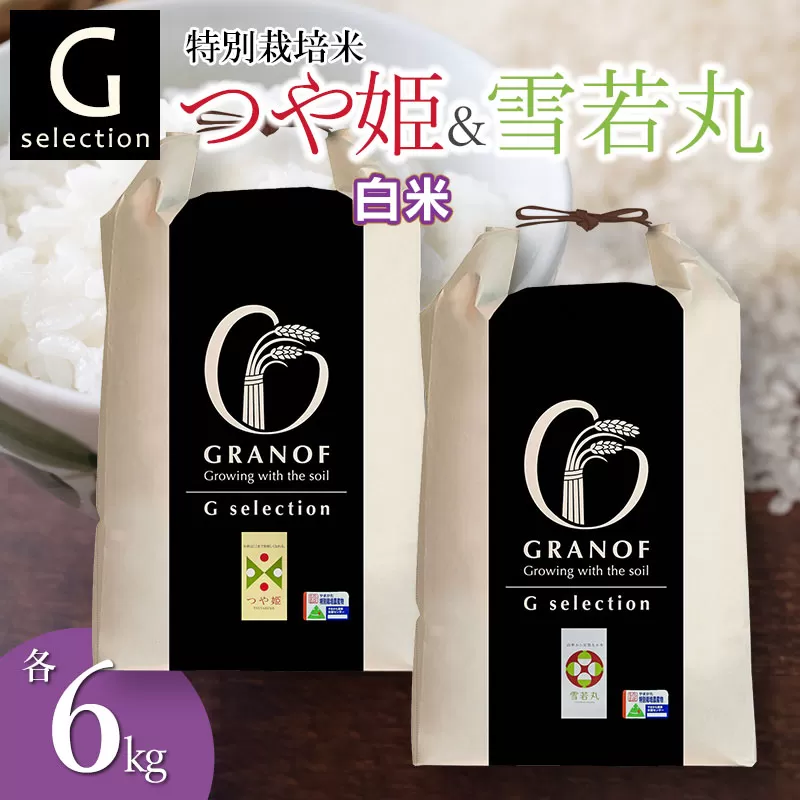 【令和7年産先行予約】 特別栽培米 Gセレクション つや姫・雪若丸 白米 各6kg×1袋 (合計12kg) 食べ比べセット 山形県鶴岡市産　株式会社グラノフ
