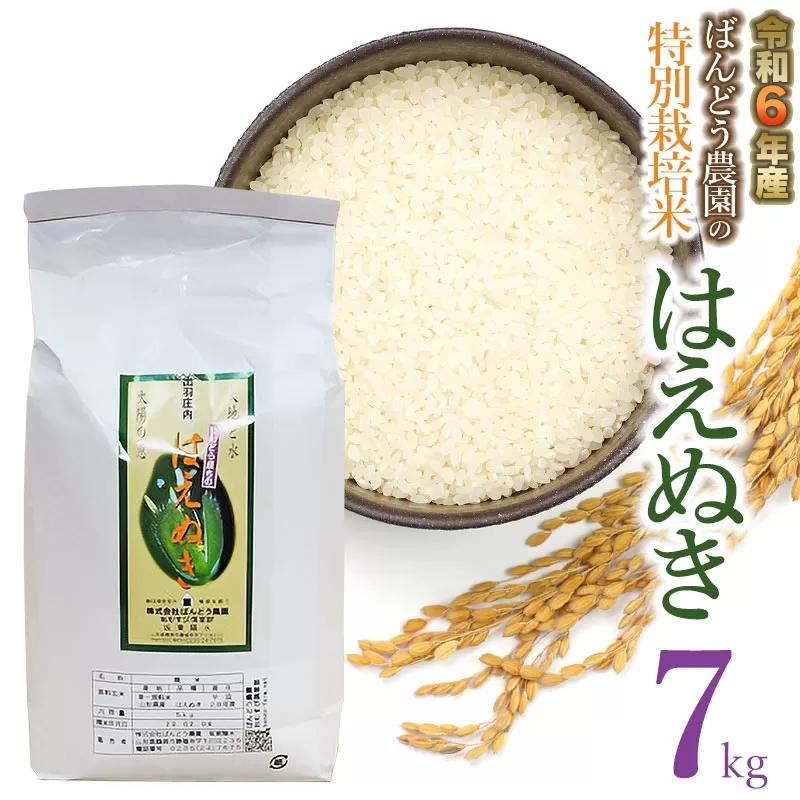 【令和6年産先行予約】ばんどう農園の特別栽培米はえぬき7kg　K-630