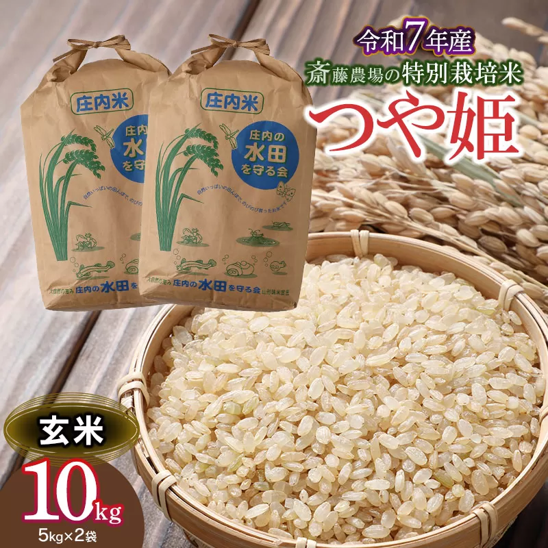 【令和7年産先行予約】 斎藤農場の特別栽培米 つや姫 玄米 10kg(5kg×2袋)　K-769