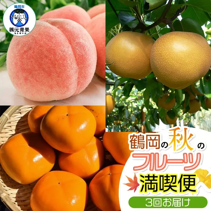 【令和7年産 先行予約】鶴岡の秋のフルーツ満喫便【3回お届け】白桃・和梨・庄内柿　山形県鶴岡産　元青果