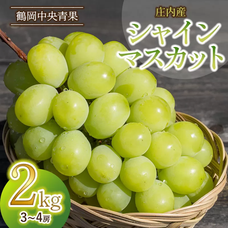 【令和7年産先行予約】 シャインマスカット 2kg (3~4房)　山形県鶴岡市 株式会社 鶴岡中央青果