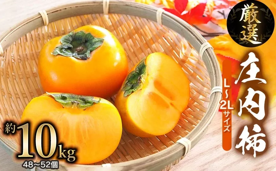 【令和8年産 先行予約】厳選 庄内柿　L 又は 2Lサイズ　約10kg (5kg×2箱) （48～52個）　株式会社 元青果