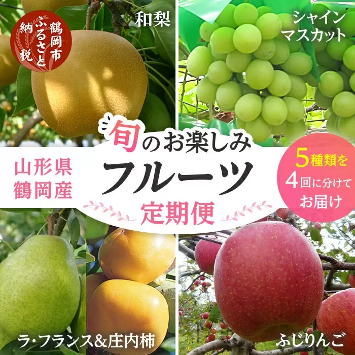 【定期便】【令和7年産先行予約】 山形県鶴岡産 旬のお楽しみフルーツセット(果物) 和梨＆シャインマスカット＆ラ・フランス＋庄内柿＆りんご (計4回、5種) 産直あぐり