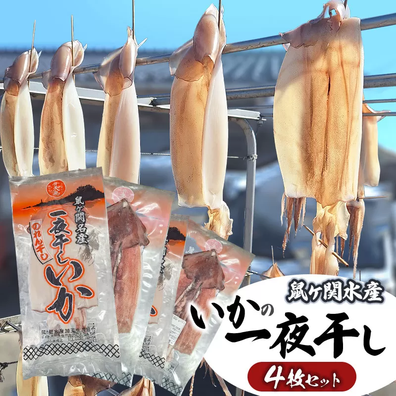 鼠ヶ関名産　いかの一夜干し 4枚セット　鼠ヶ関水産加工生産組合