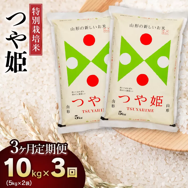 【3回定期便】【令和6年産】特別栽培米 つや姫10kg (5kg×2)×3回　山形県庄内産 鶴岡米穀商業協同組合
