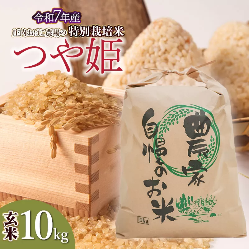 【令和7年産先行予約】庄内おばこ農場の特別栽培米 つや姫 玄米 10kg (10kg×1袋)　K-7111
