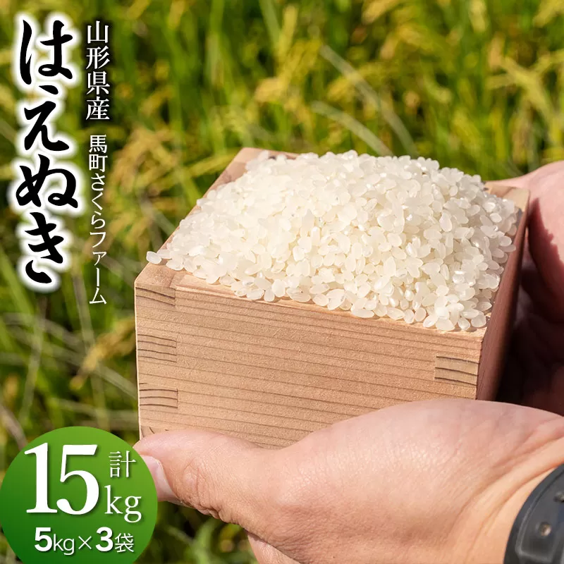 【令和7年産先行予約】 馬町さくらファームのはえぬき 精米 15kg（5kg×3袋）　K-7108