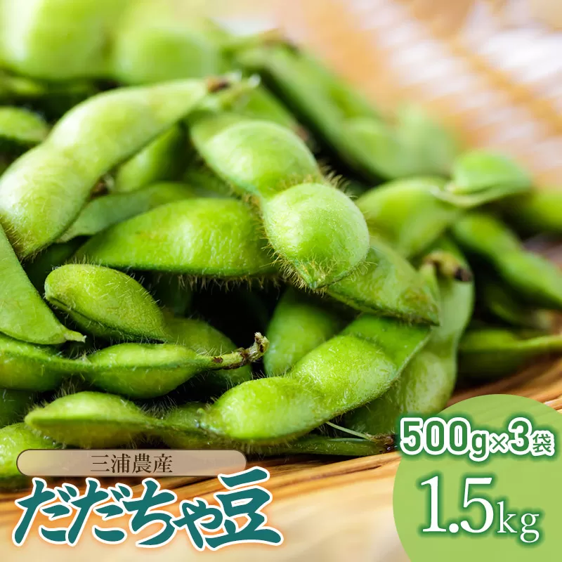 【令和7年産先行予約】 山形県鶴岡産 だだちゃ豆　約1.5kg（500g×3袋）　三浦農産