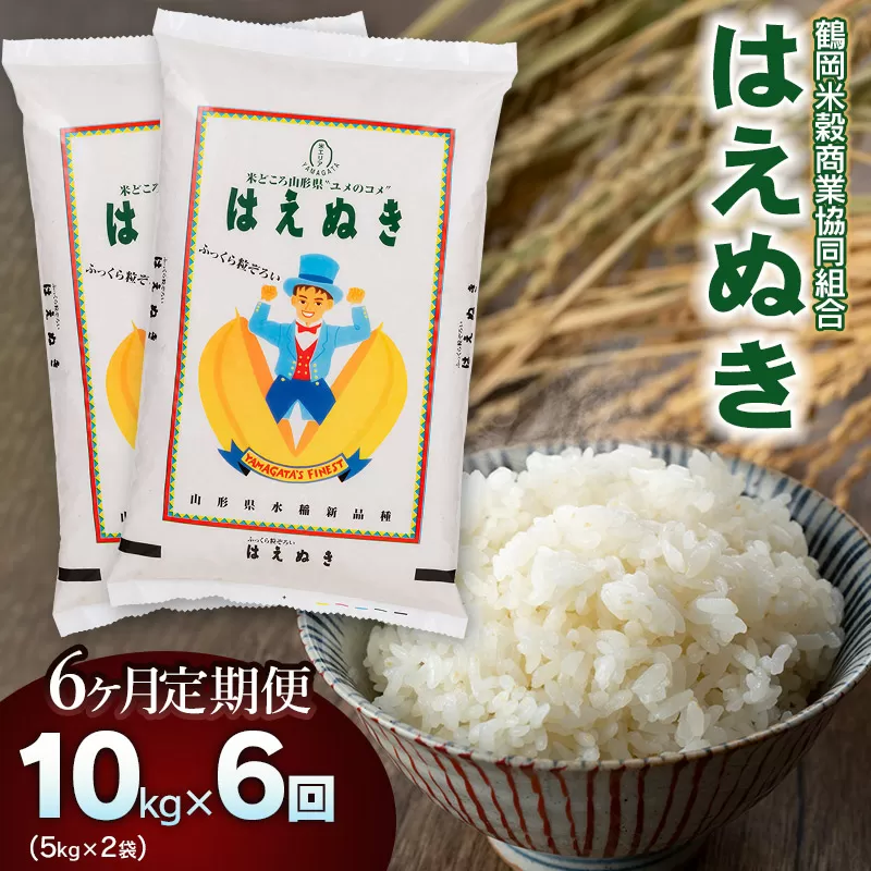 【令和6年産】 はえぬき10kg（5kg×2）【6回定期便】 山形県庄内産　鶴岡米穀商業協同組合