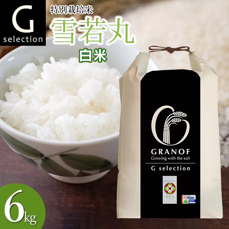 【令和7年産先行予約】 特別栽培米 Gセレクション 雪若丸 白米 6kg(6kg×1袋) 山形県鶴岡市産　株式会社グラノフ
