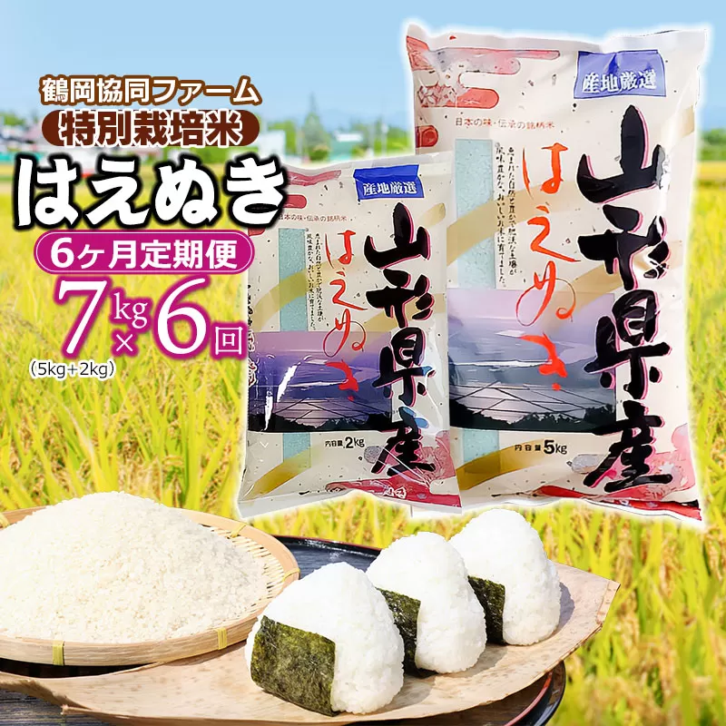 【令和6年産先行予約】 特別栽培米はえぬき 7kg (5kg+2kg)×6ヶ月【定期便】　鶴岡協同ファーム