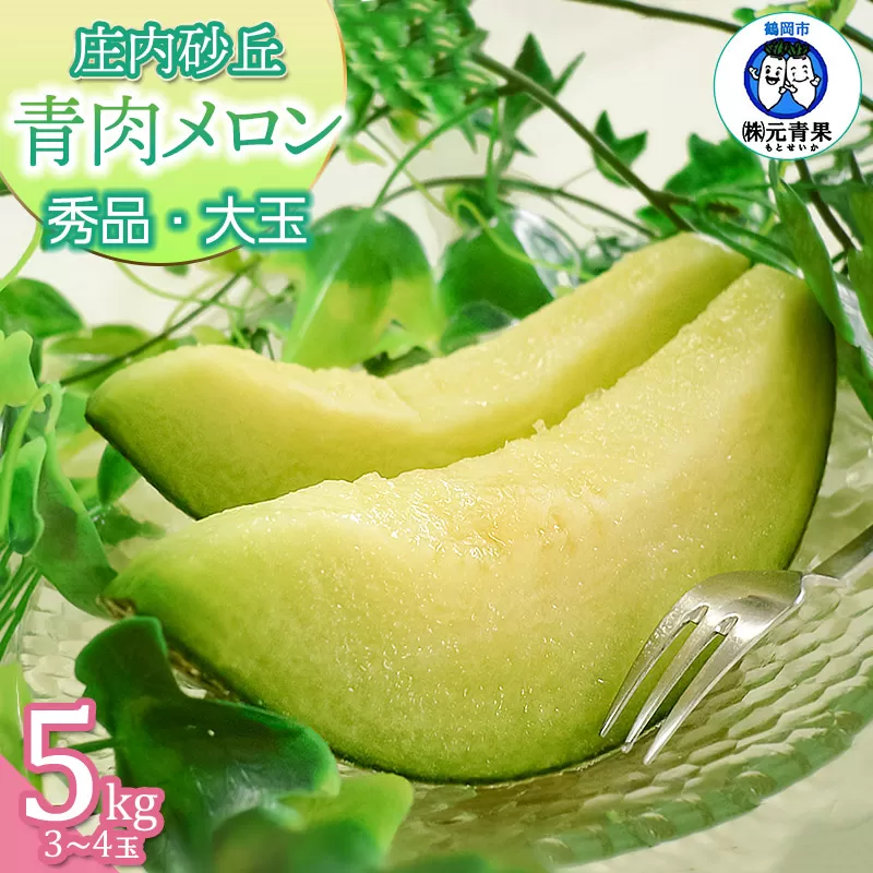 【令和7年産先行予約】 庄内砂丘 青肉メロン 秀品 大玉 5kg (3～5玉) 山形県鶴岡市 株式会社 元青果
