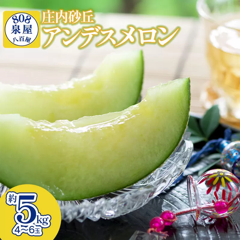 【令和8年産先行予約】泉屋商店の庄内砂丘アンデスメロン 約5kg(4~6玉入) K-839