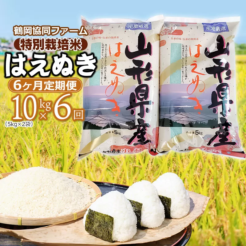 【令和6年産先行予約】 特別栽培米はえぬき 10kg (5kg×2袋)×6ヶ月【定期便】　鶴岡協同ファーム