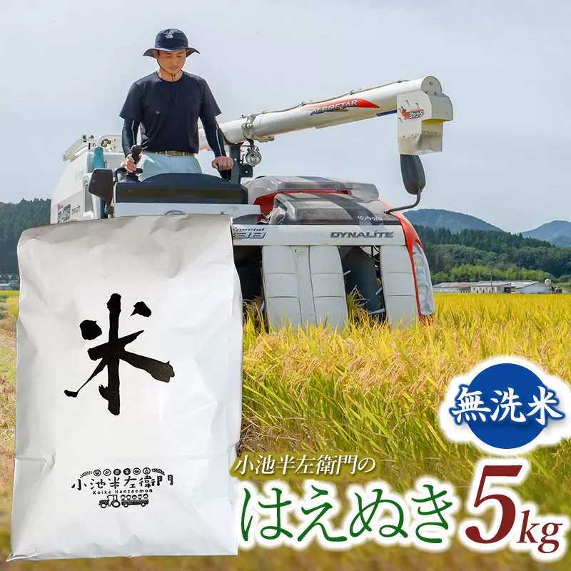 数量限定 【令和7年産先行予約】 山形県庄内産 小池半左衛門のお米 はえぬき 無洗米 5kg (5kg×1袋)