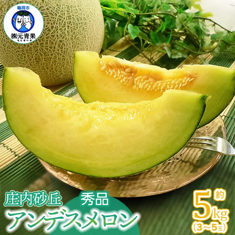 【令和7年産先行予約】アンデスメロン 秀品 5kg (3～5玉)　山形県鶴岡市 株式会社 元青果