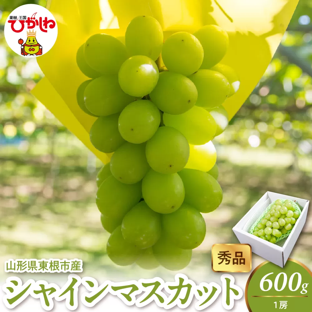 2025年産 シャインマスカット 600g(1房） 秀品 山形県 東根市　hi082-023-1