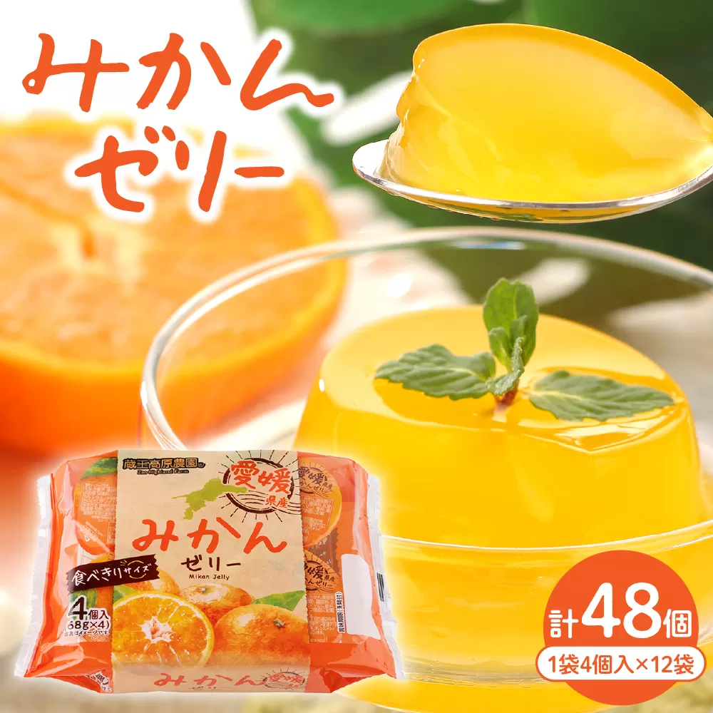 みかんゼリー1袋4個入×12袋 和歌山産業提供 山形県 東根市 hi070-005