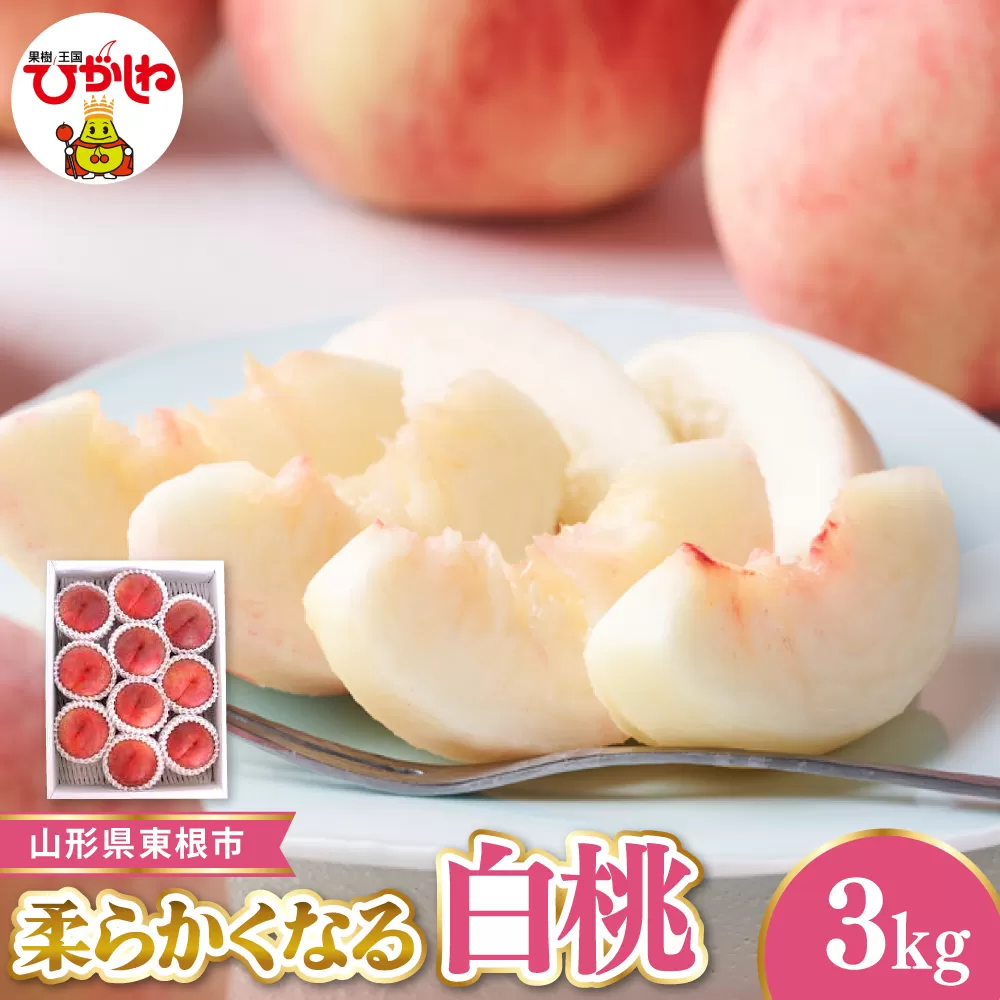 【令和8年産先行受付】 東根市産白桃　秀品 柔らかくなる桃 約3kg ベジフルひがしね 山形県 東根市 hi104-005