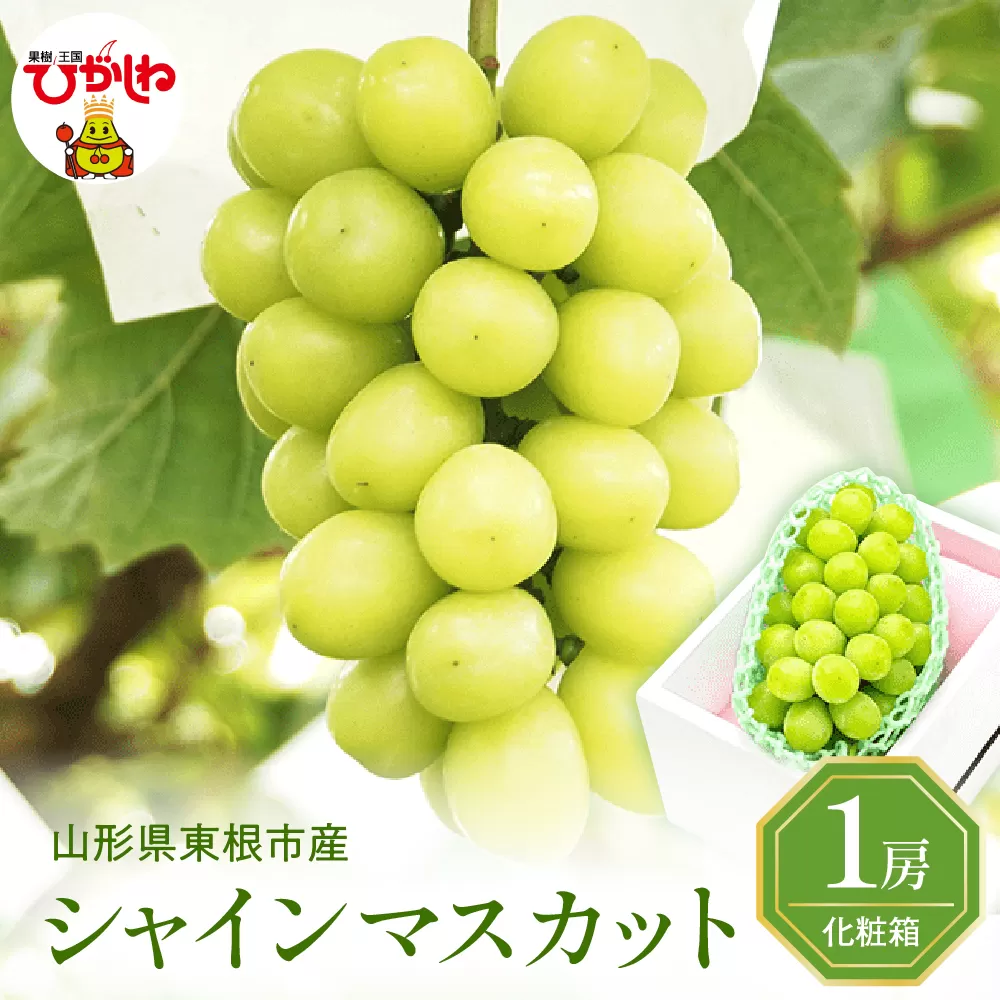 2025年ぶどう「シャインマスカット」1房(約600g) 東根農産センター提供 山形県 東根市 hi027-180-1