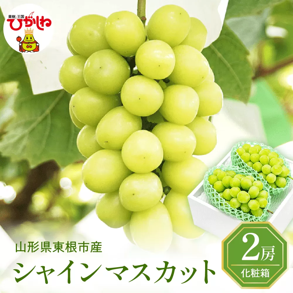 2025年ぶどう「シャインマスカット」2房(約1.2kg) 東根農産センター提供 山形県 東根市 hi027-181-1