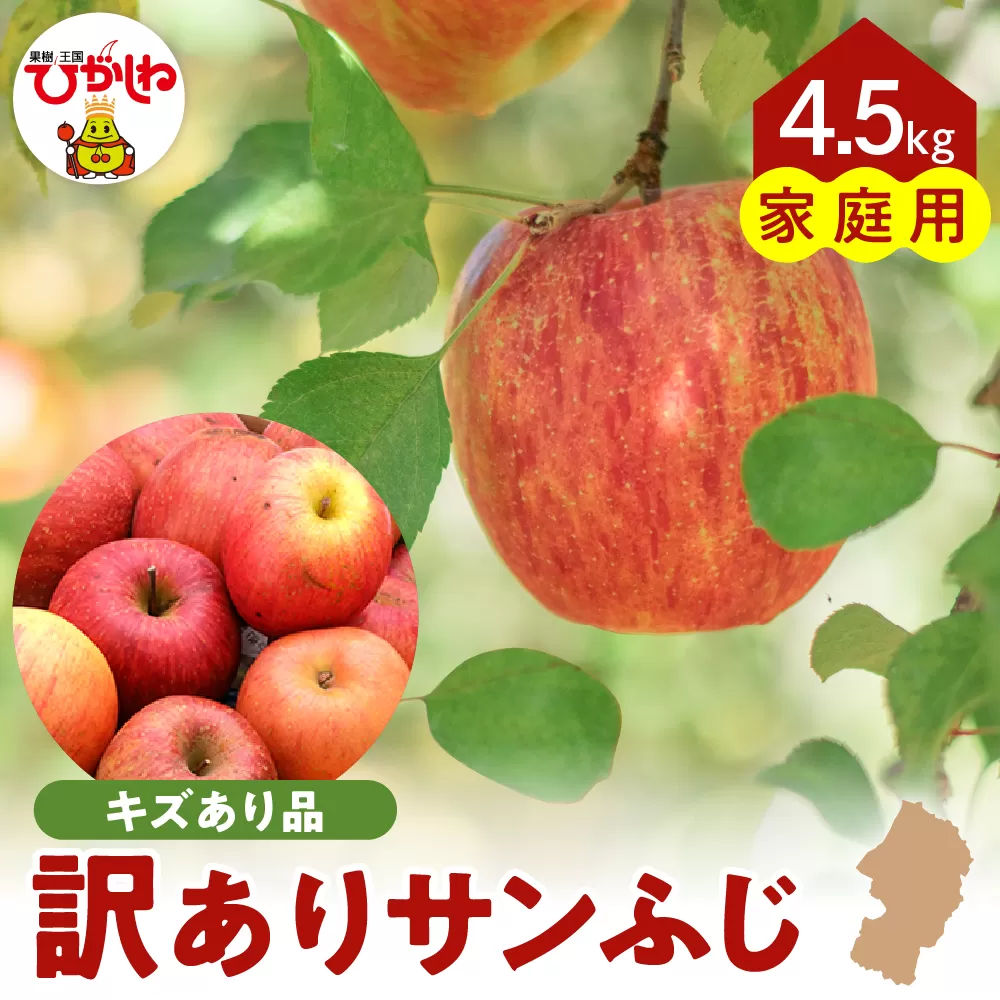 【令和7年産 先行予約】ご家庭用サンふじ満杯詰（約4.5kg) 山形県 東根市 東根農産センター提供 hi027-204-1