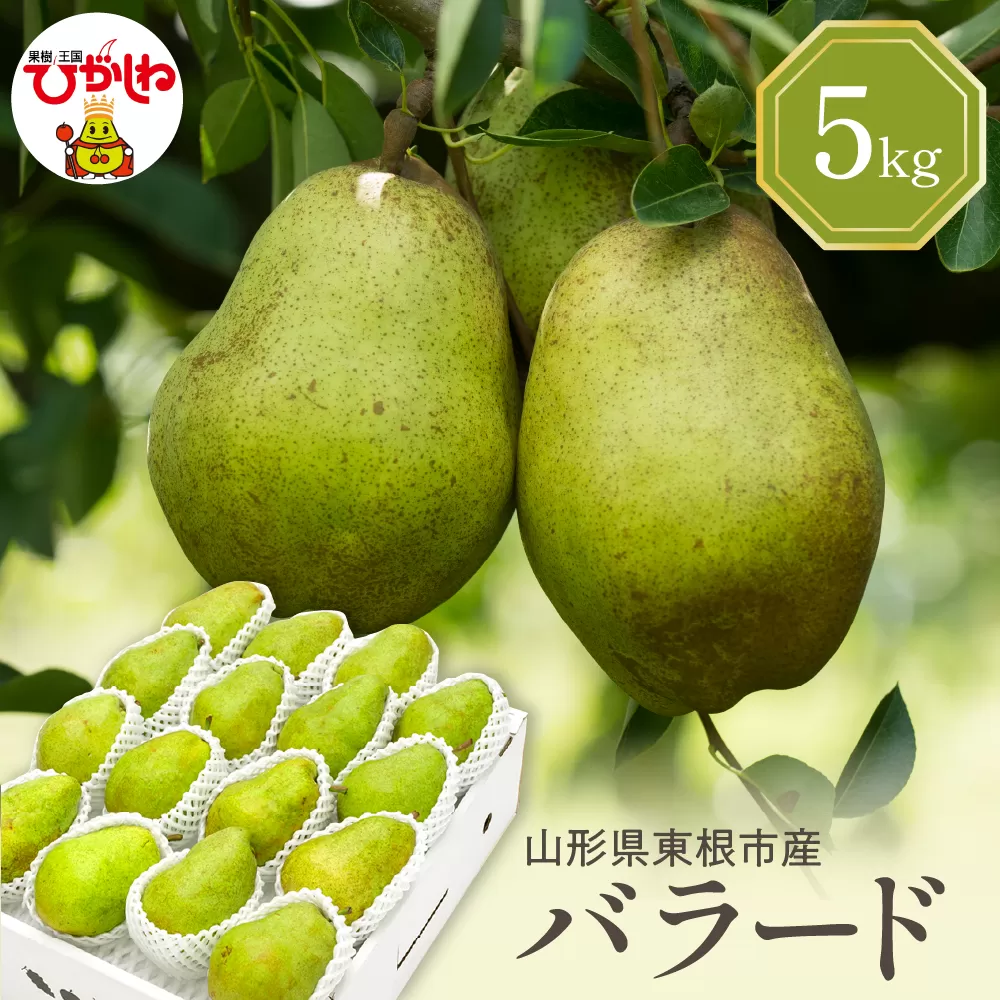 【令和7年産 先行予約】西洋梨バラード5kg 山形県 東根市 東根農産センター提供 hi027-190-1