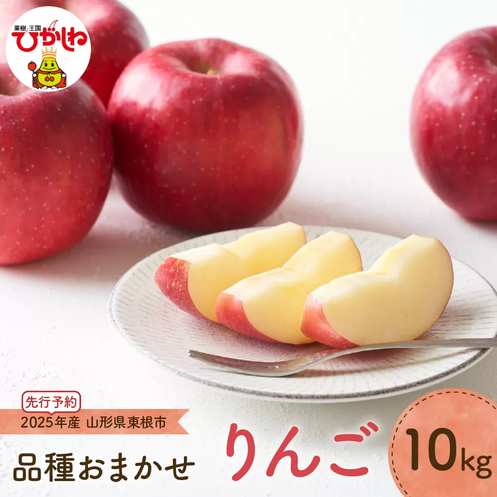【2025年産 先行予約】 りんご(品種おまかせ) 10kg JA提供 山形県 東根市　hi003-141-1