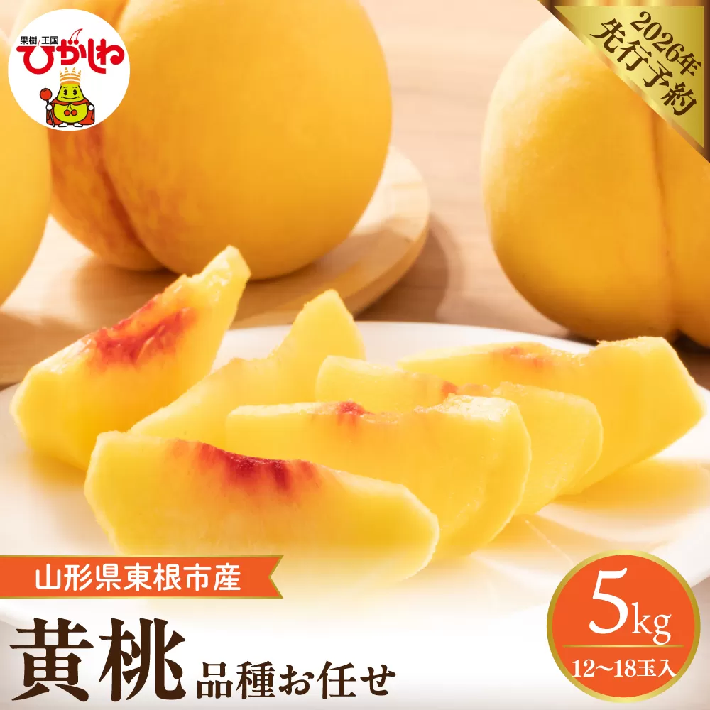【2026年産先行予約】　採れたて黄桃(品種お任せ) 約5kg (12～18玉)晴天畑提供 山形県 東根市 hi026-058