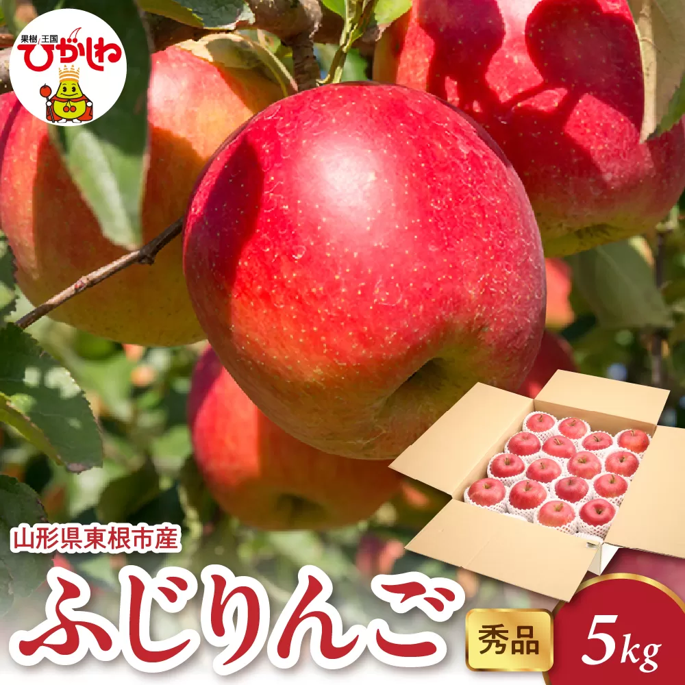 2025年産 ふじりんご 5kg（10-22玉） 秀品 山形県 東根市 hi082-018-1