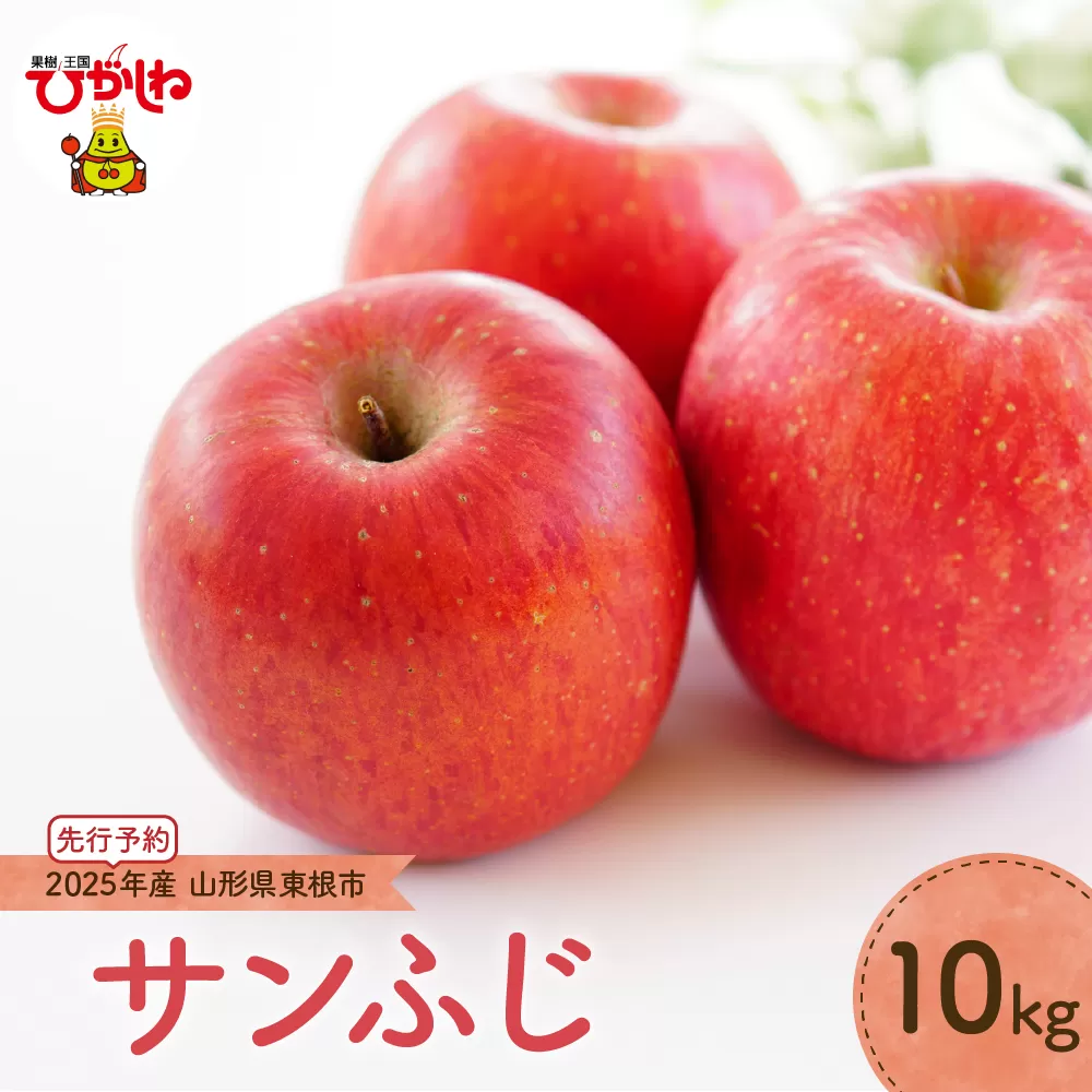 【2025年産 先行予約】りんご「サンふじ」10kg JA提供 山形県 東根市　hi003-139-1