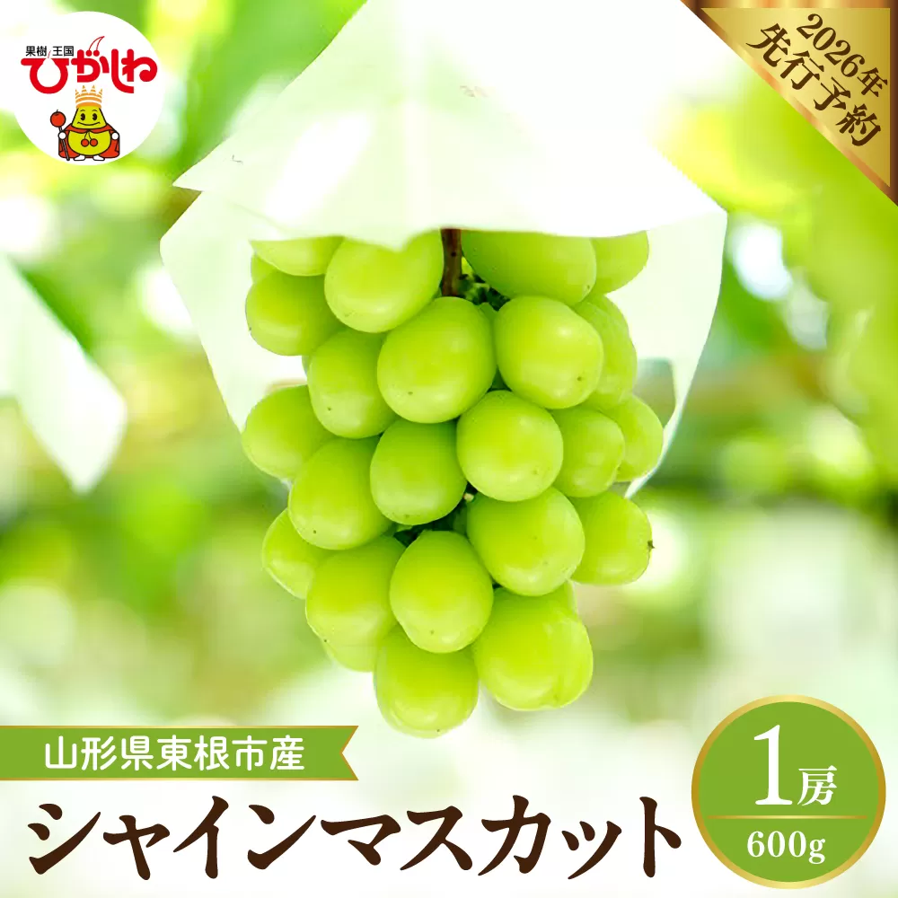 【2026年産先行予約】 シャインマスカット 約600g (1房入) 山形県 東根市 hi026-053
