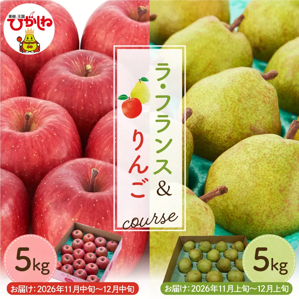 【2026年11月以降お届け】 ラ・フランス&りんご 2回定期便 山形県 東根市 hi003-158