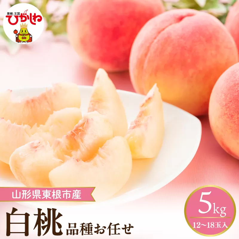 【2026年産】 採れたて白桃(品種お任せ) 約5kg (12～18玉) 山形県 東根市　hi026-056