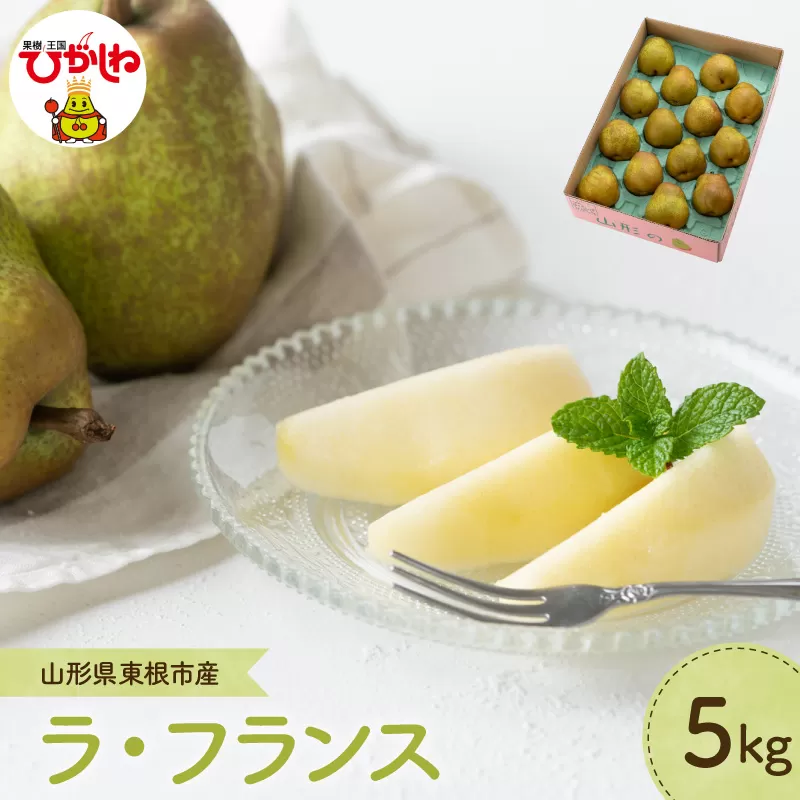 【2026年産】 洋なし「ラ・フランス」 5kg よってけポポラ提供 hi003-168