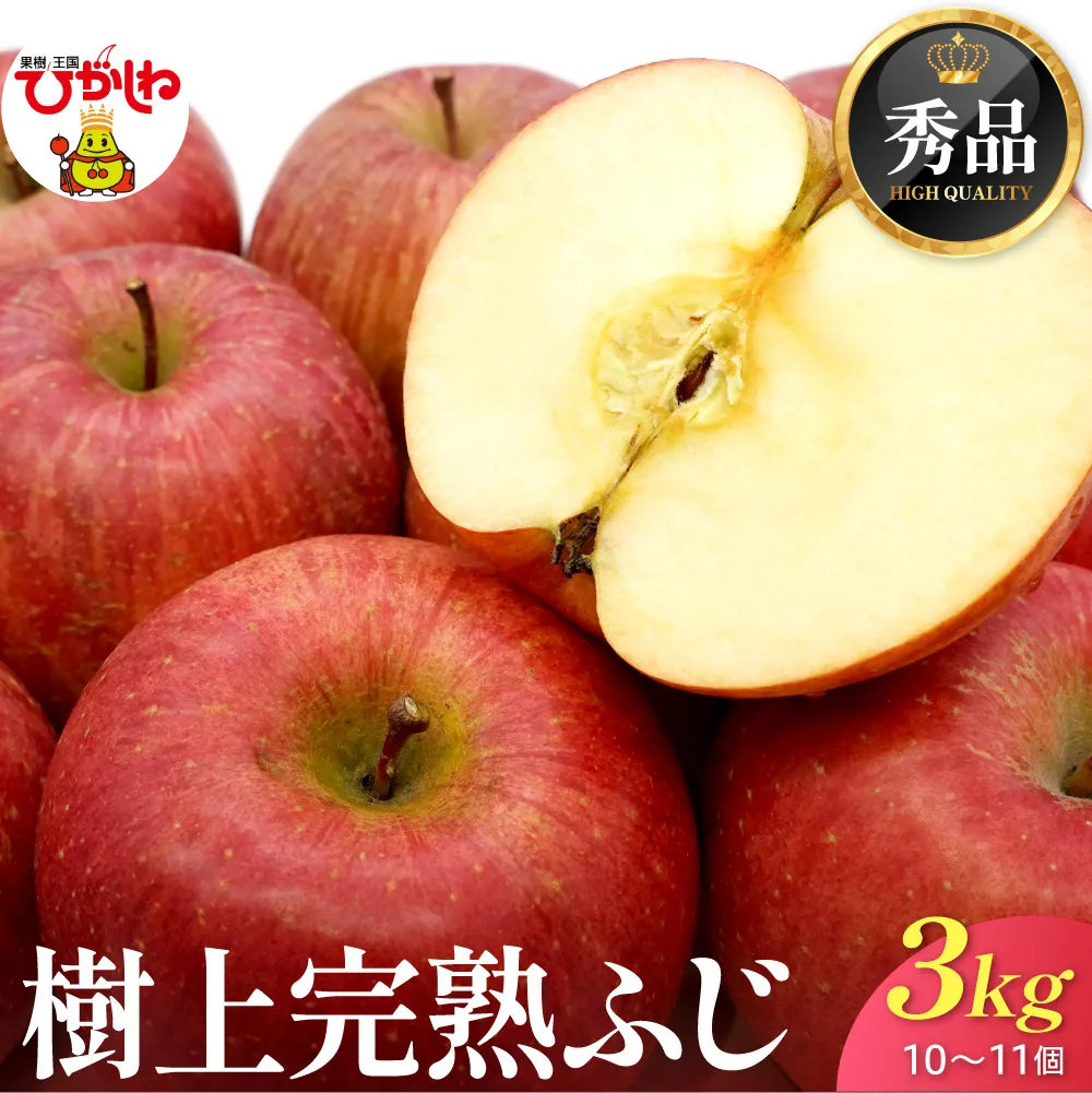 【2026年産】 樹上完熟ふじりんご 秀品 3kg 化粧箱 （10、11個詰め） 山形県 東根市 JA提供 hi001-050