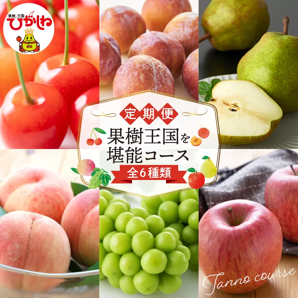 【2026年先行予約 6回 定期便】果樹王国を堪能コース 山形県 東根市 さくらんぼ もも プラム シャインマスカット ラ・フランス りんご hi999-045