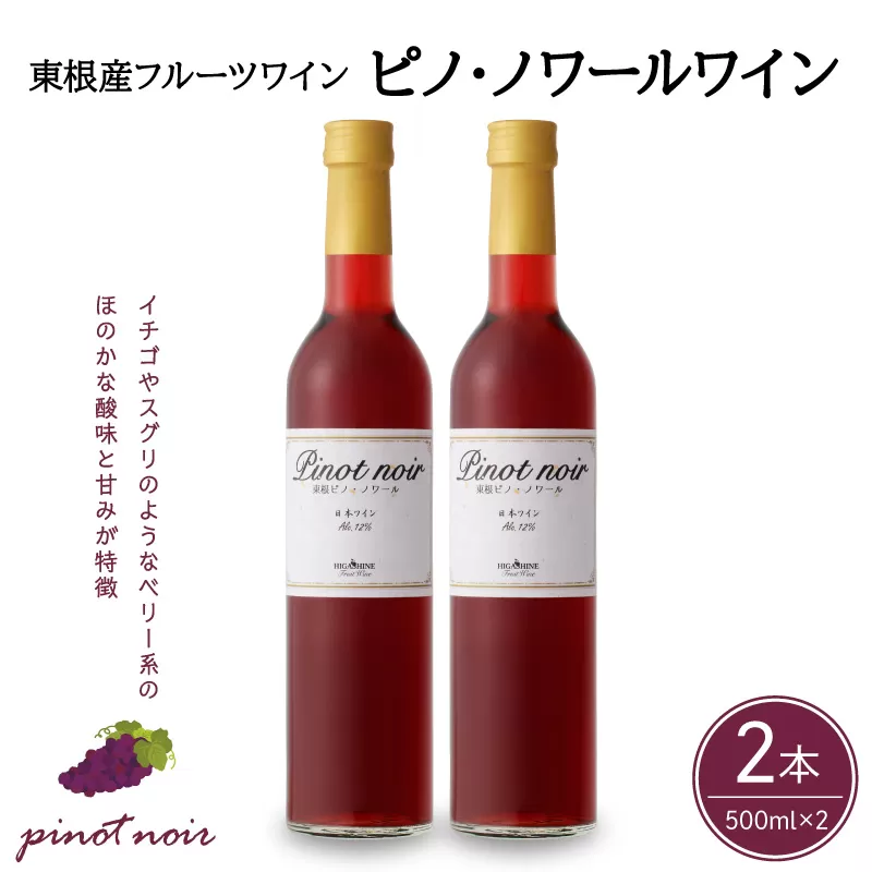 ピノ・ノワールワイン500ml×2本セット 山形県 東根市 合同会社 Fruit Winery Esprit提供 hi108-001