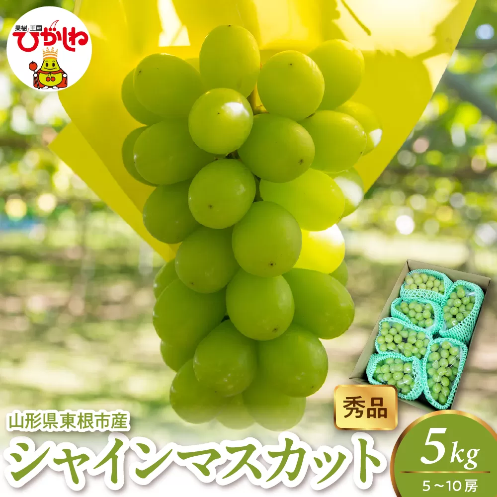 2025年産 シャインマスカット 5kg（5-10房） 秀品 山形県 東根市　hi082-026-1