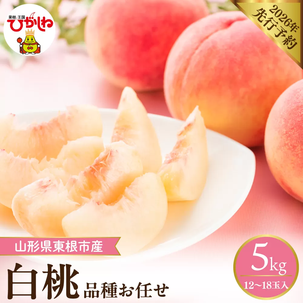 【2026年産先行予約】 採れたて白桃(品種お任せ) 約5kg (12～18玉) 山形県 東根市　hi026-056