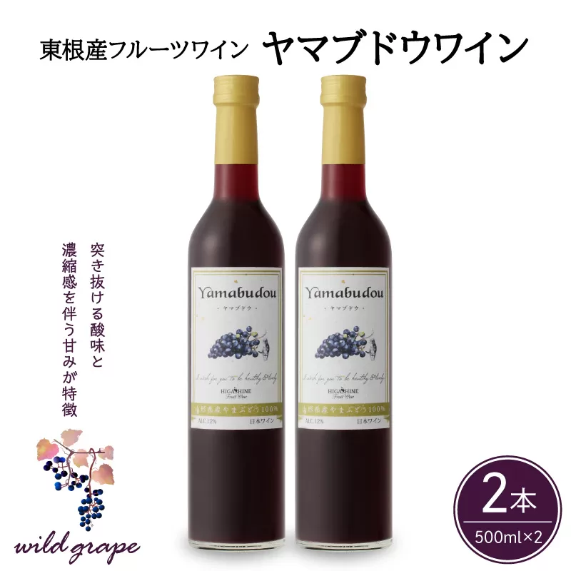 ヤマブドウワイン500ml×２本セット 山形県 東根市 合同会社 Fruit Winery Esprit提供 hi108-002