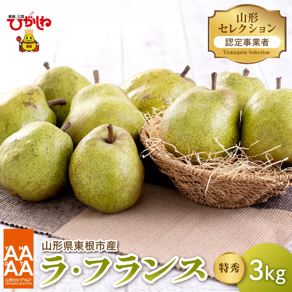 【令和7年産 先行予約】山形セレクション　ラ・フランス 3kg 山形県 東根市 hi069-009-1