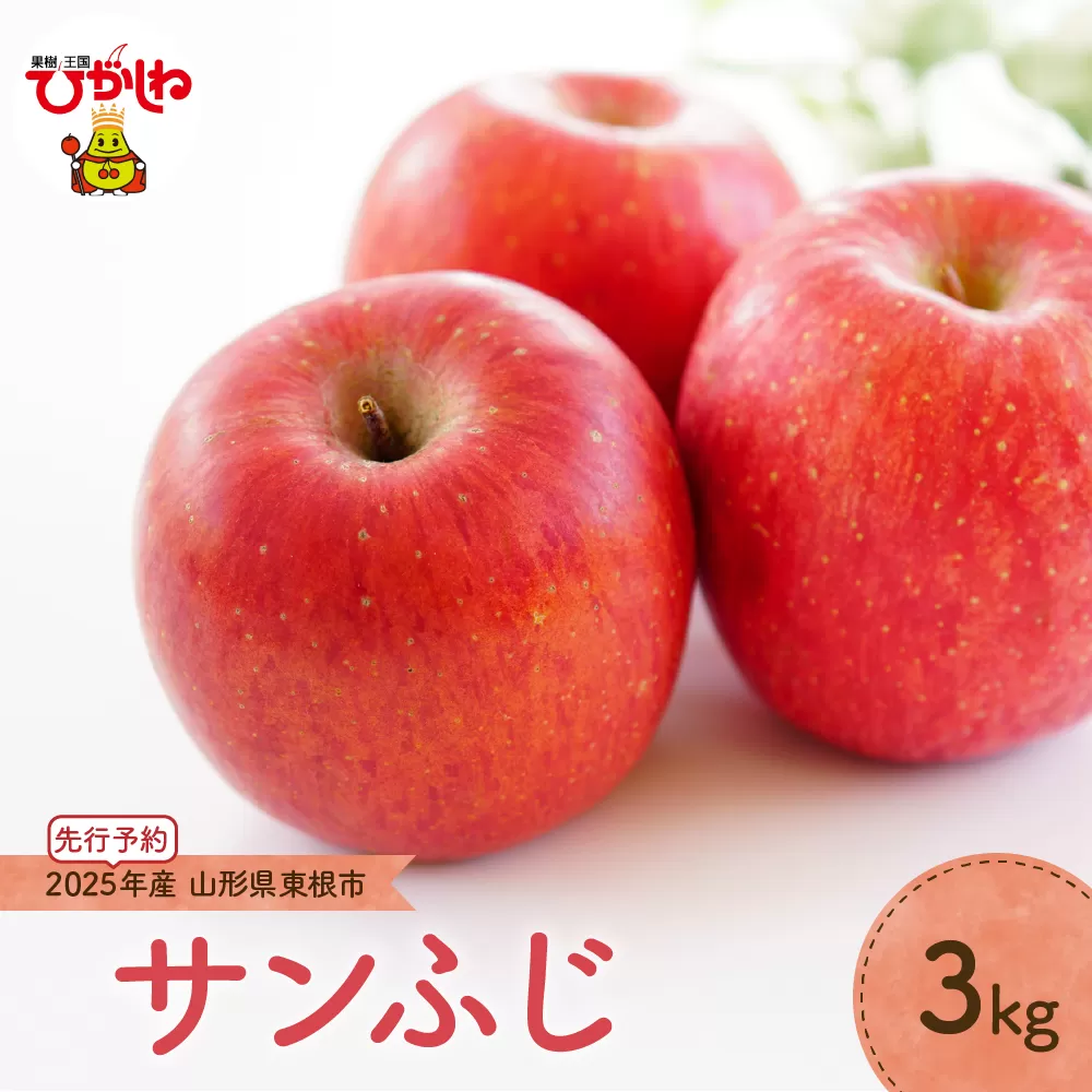 【2025年産 先行予約】りんご「サンふじ」3kg JA提供 山形県 東根市　hi003-137-1