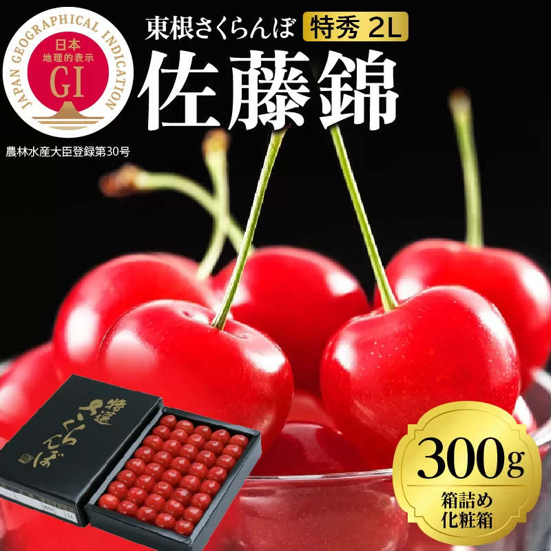 2026年 GI東根さくらんぼ「佐藤錦」300g 鏡詰め 特秀 2Lサイズ 東根農産センター提供 山形県 東根市 hi027-222