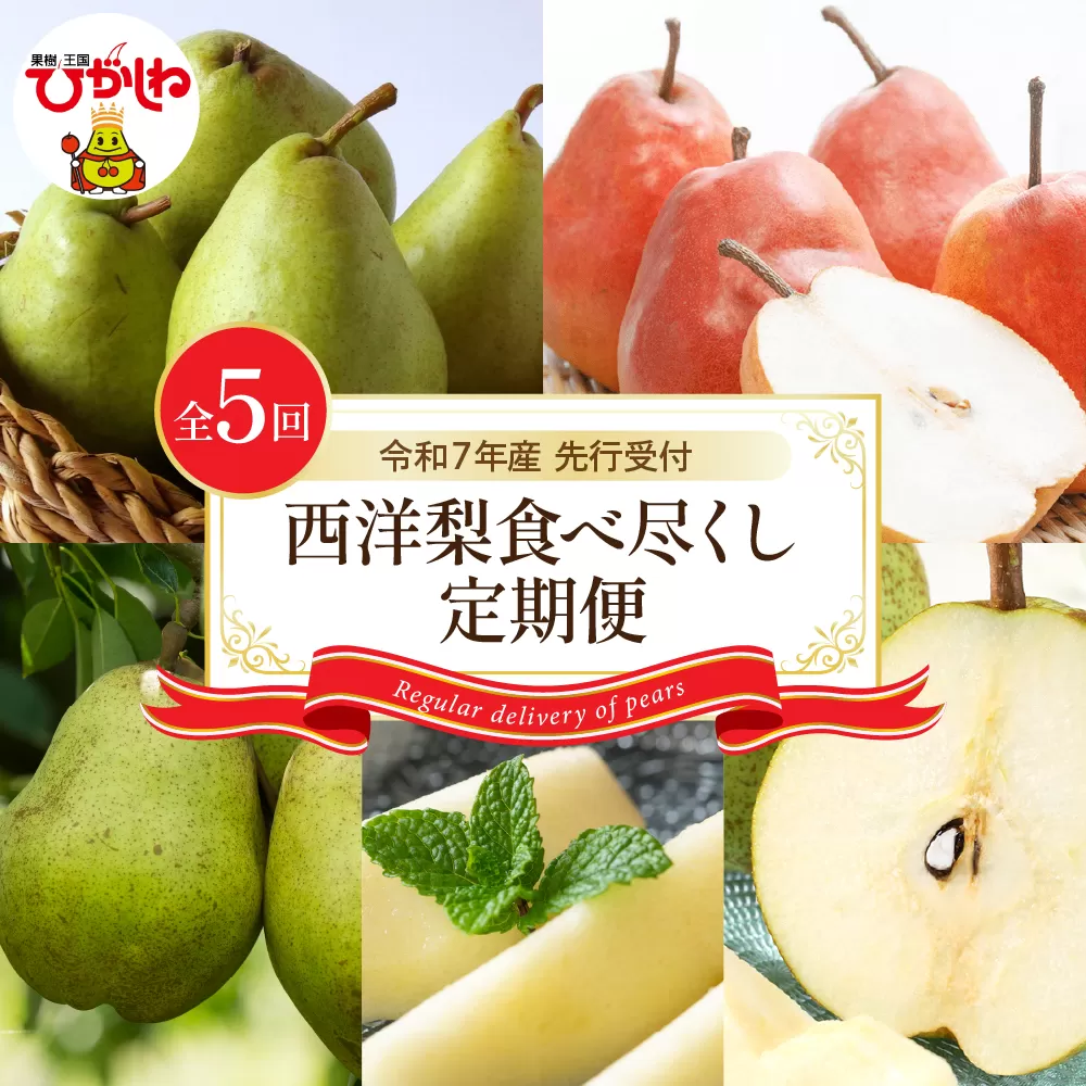 【令和7年産 先行予約 5回定期便】西洋梨食べ尽くし定期便 東根農産センター提供 hi027-201-1