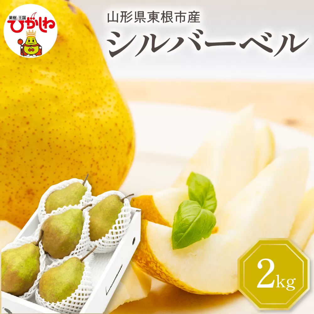 [令和7年産 先行予約]西洋梨シルバーベル2kg 山形県 東根市 東根農産センター提供 hi027-200-1